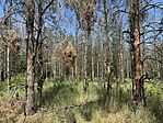 IMG_9330