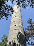 IMG_9334