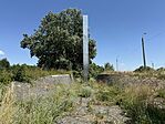 IMG_9425