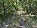 IMG_9426