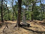 IMG_9429