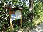 IMG_20250721_110408_1