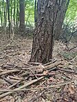 IMG_20250706_120226