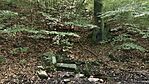 IMG_20250706_084704