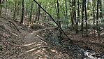 IMG_20250706_075650