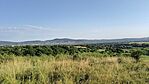 IMG_20250724_070139
