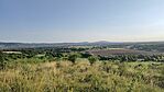 IMG_20250724_070143