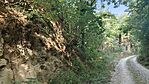 IMG_20250724_090034