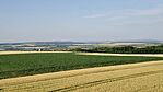 IMG_20250616_062105