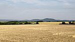 IMG_20250616_062111