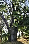 IMG_20250616_070257
