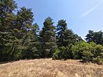 IMG_20250720_112406