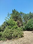 IMG_20250720_112157