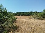 IMG_20250720_112227
