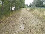 IMG_20250724_130716