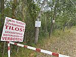 IMG_20250724_130706