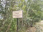 IMG_20250724_130542