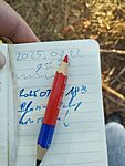 IMG_20250723_183125