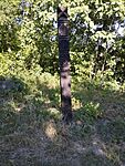 IMG_20250723_174305