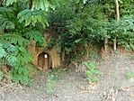 IMG_20250723_170325