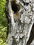 IMG_20250725_130431