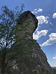 IMG_1122