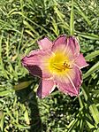IMG_1280