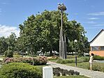 IMG_1281