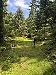 IMG_1267