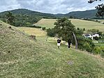 IMG_1339