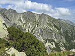IMG_1363