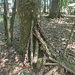 IMG_20250715_121144