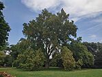 IMG_20250716_111513