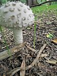 IMG_20250716_111748