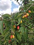 IMG_20250716_132008