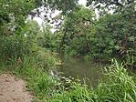 IMG_20250717_182416