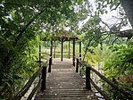 IMG_20250717_113439