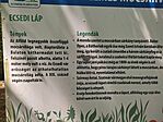 IMG_20250717_111242