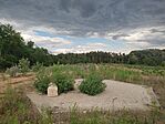 IMG_20250718_144626