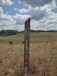 IMG_20250718_123807