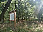 IMG_20250726_155352