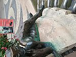 IMG_20250729_174652462