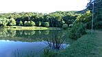 20250714_180713_Zso