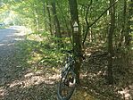 IMG_20250725_101916479