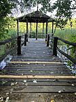 IMG_0832(1)
