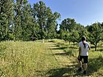 IMG_0833(1)