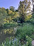 IMG_0847(1)