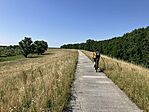 IMG_0873(1)