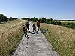 IMG_0875(1)