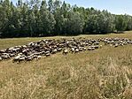IMG_0879(1)